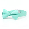 Load image into Gallery viewer, Personalized Solid Mint Green Dog Bow Tie Collar &amp; Leash