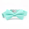 Personalized Solid Mint Green Dog Bow Tie Collar