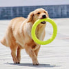 Load image into Gallery viewer, Dog Chew Toy